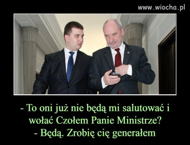 Wreszcie wiemy jaka kariera stoi przed Misiem 
