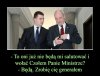 Wreszcie wiemy jaka kariera stoi przed Misiem 