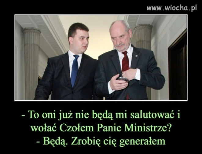 Wreszcie wiemy jaka kariera stoi przed Misiem 
