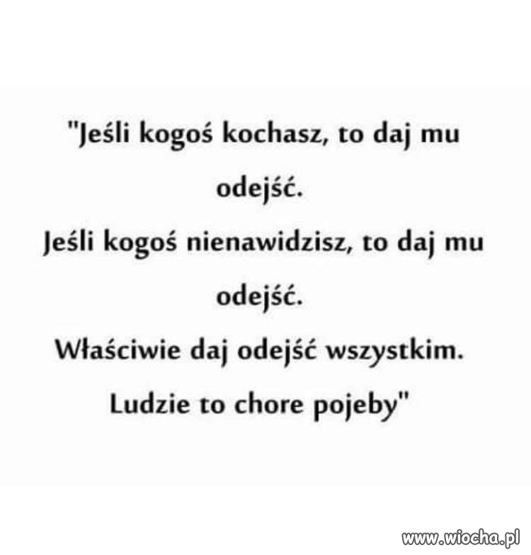 Same mądrości 