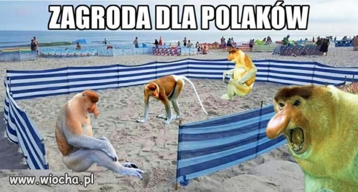 Już niedługo