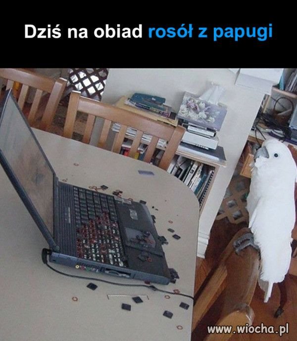 Oj był był