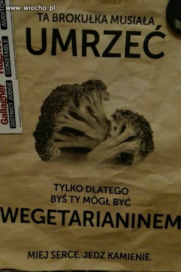 Brokuła