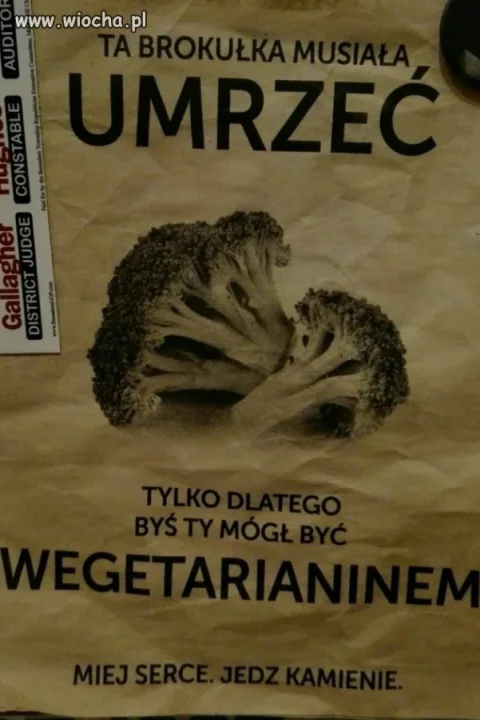 Brokuła