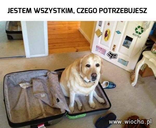 To co, jedziemy?