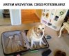 To co, jedziemy?