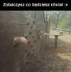 I co widzisz
