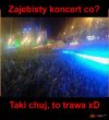 Koncert