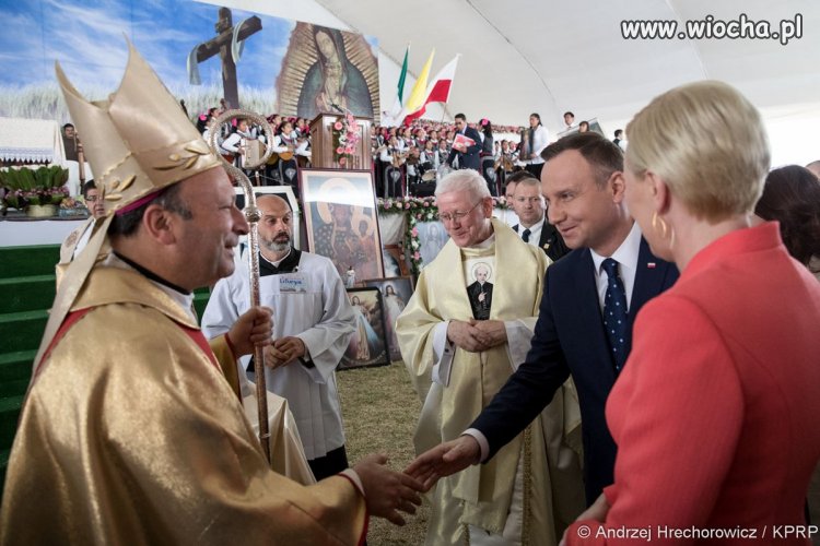 Niestrudzony Pielgrzym