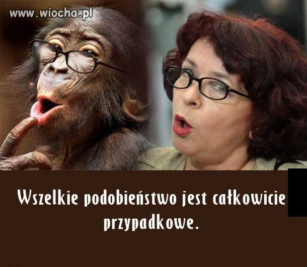 Znajdź 3 różnice 