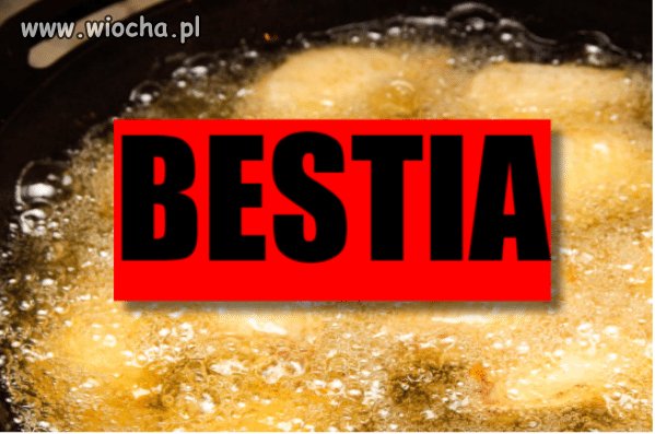 Bestia nie kobieta!