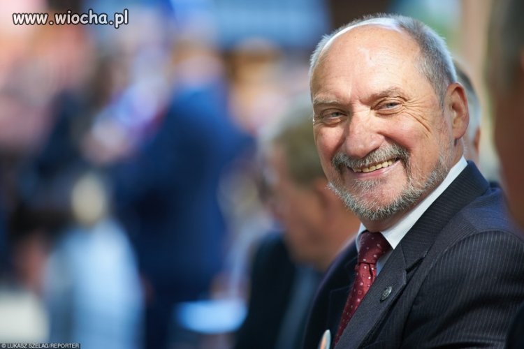Antoni ma plan, zrealizuje go sam i pokaże nam