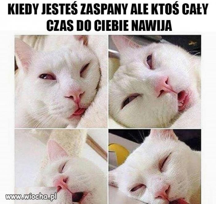 I tak nie słucham