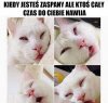 I tak nie słucham