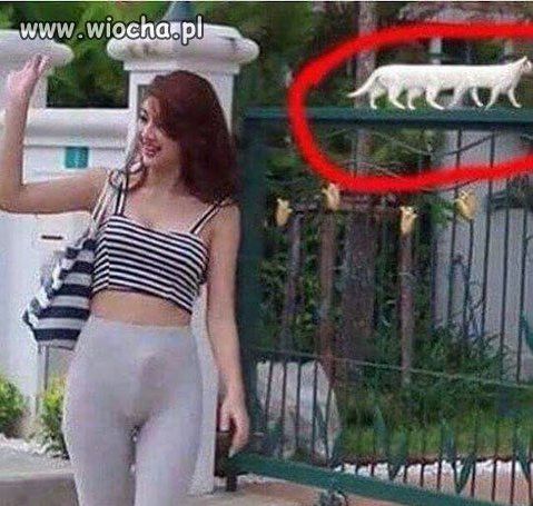 Uauuu...
