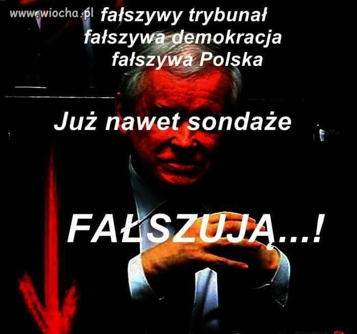 Wszystko fałszują