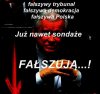 Wszystko fałszują