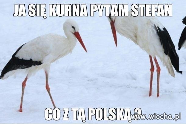 Zimno