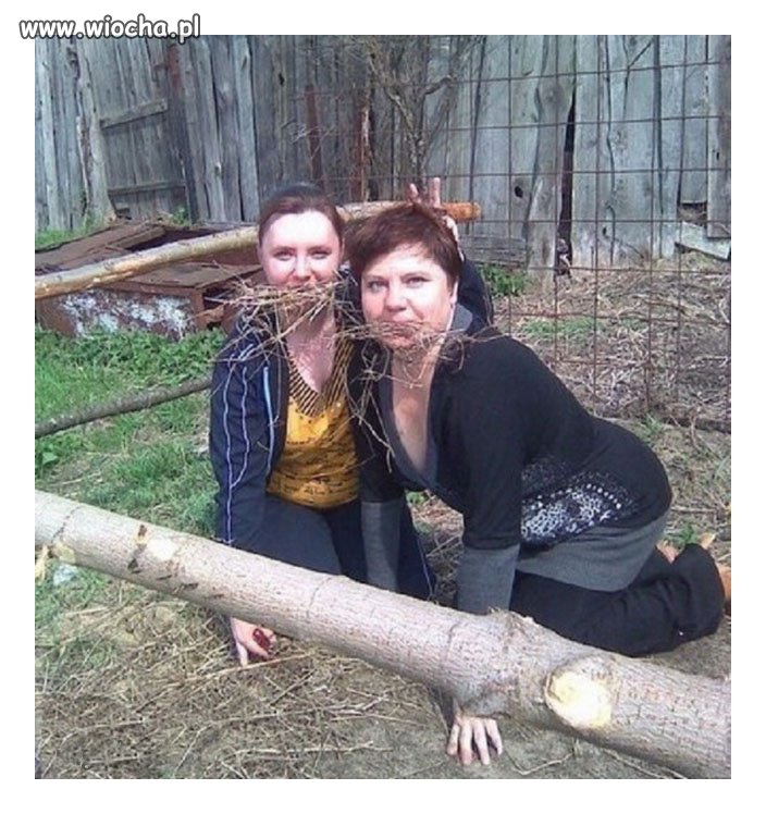 A tymczasem w pewnym gospodarstwie