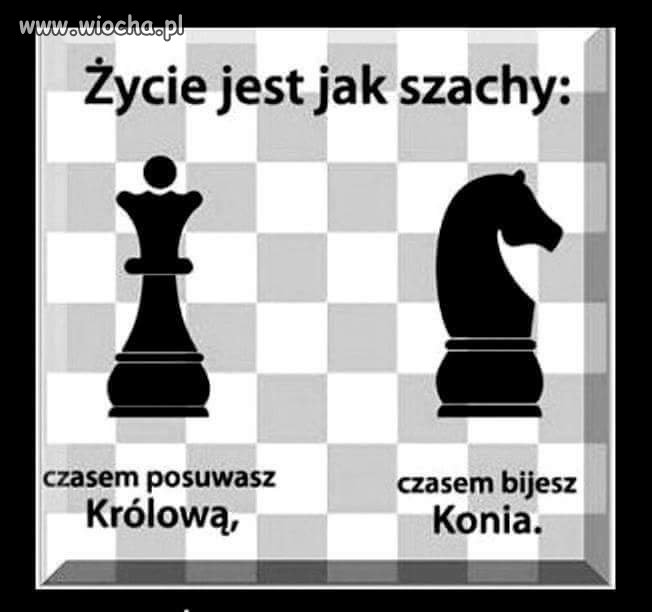 Szach mat