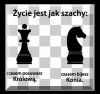 Szach mat