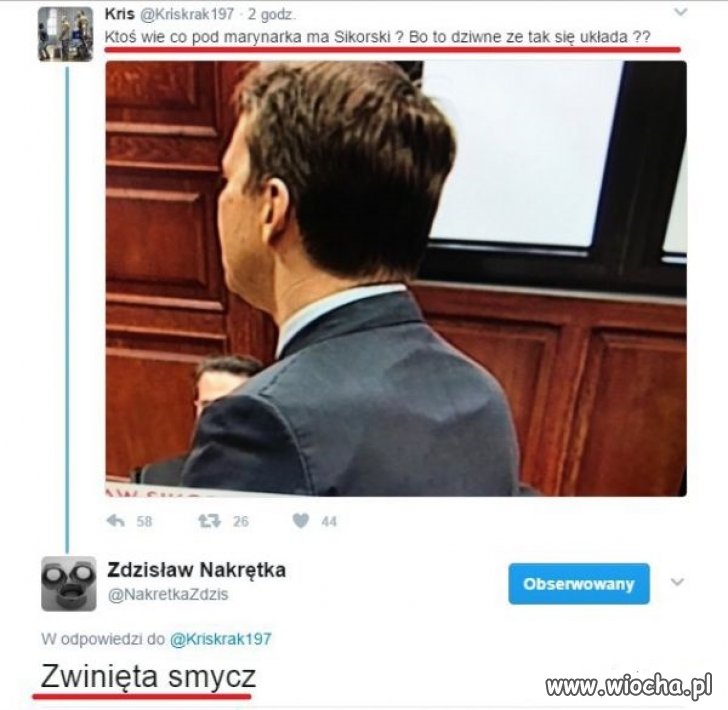 Wieszak czy smycz?