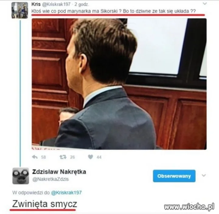 Wieszak czy smycz?