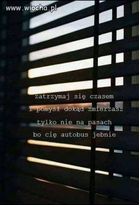 Złota myśl na dziś