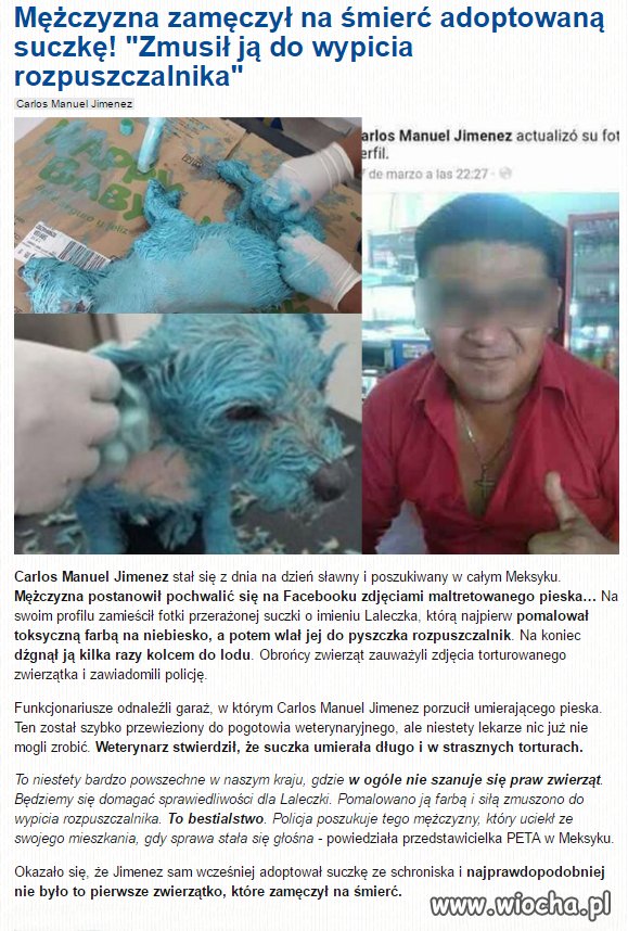 Dla tego palanta stryczek to za mało