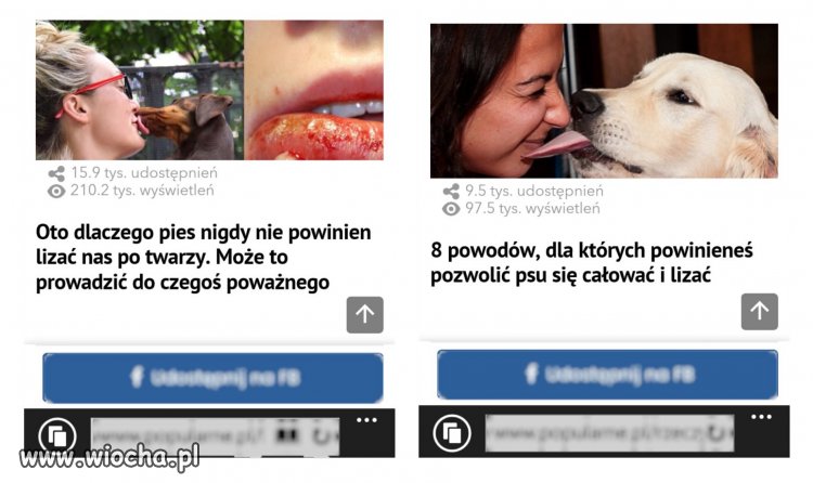 Dać się lizać, czy się nie dać? Oto jest pytanie 