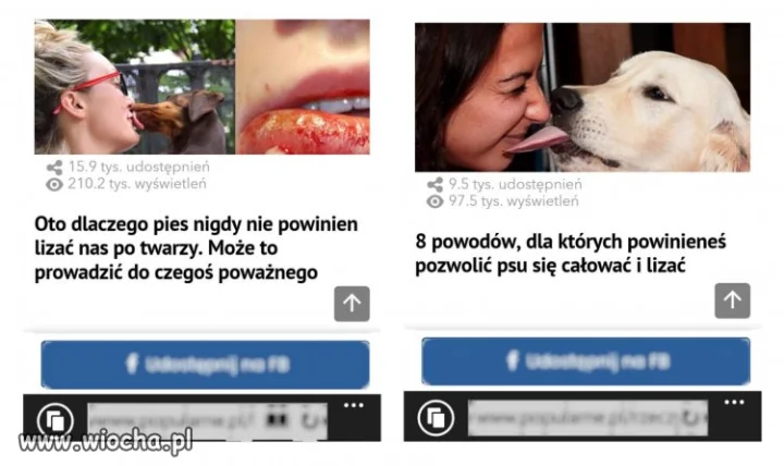 Dać się lizać, czy się nie dać? Oto jest pytanie 