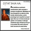 Dobrze gada