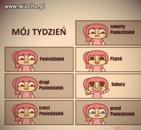 Same poniedziałki. Tylko dwa dni normalne.