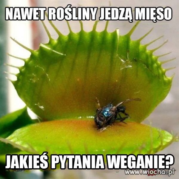 Taka Prawda 
