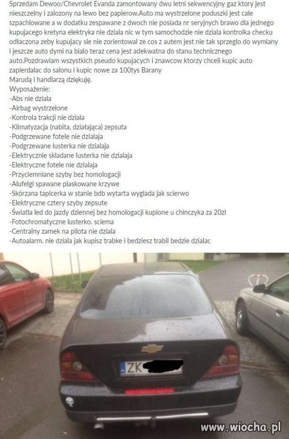 Nówka sztuka