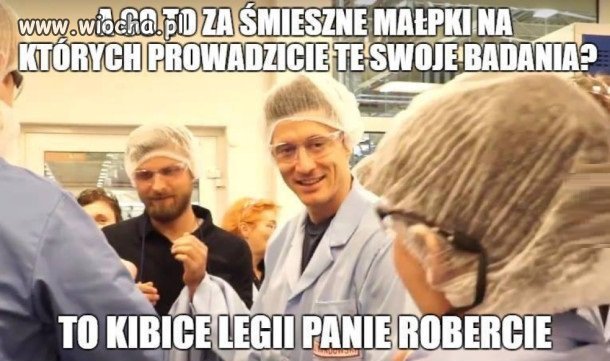 Śmieszne małpki