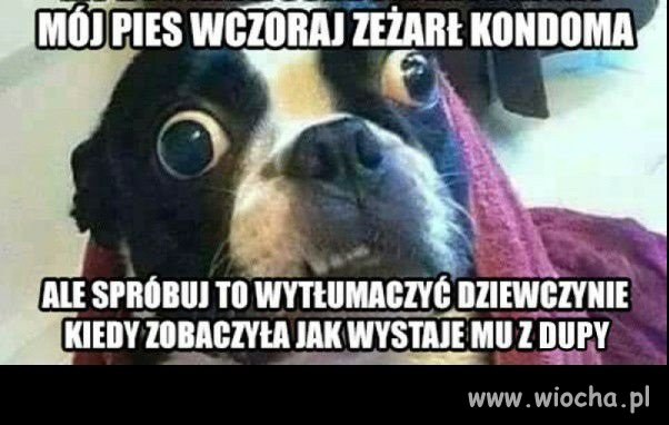 No spróbuj to wytłumaczyć.