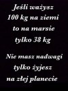 Sentencja na dziś