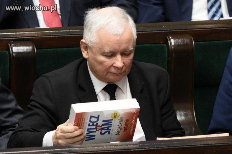 Nie ufa nikomu