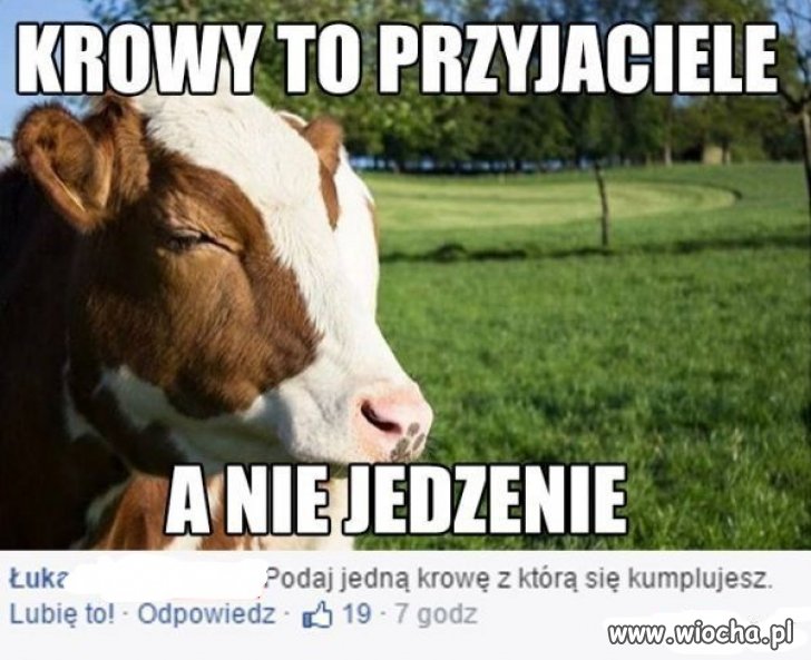 Odpowiedź