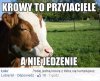 Odpowiedź