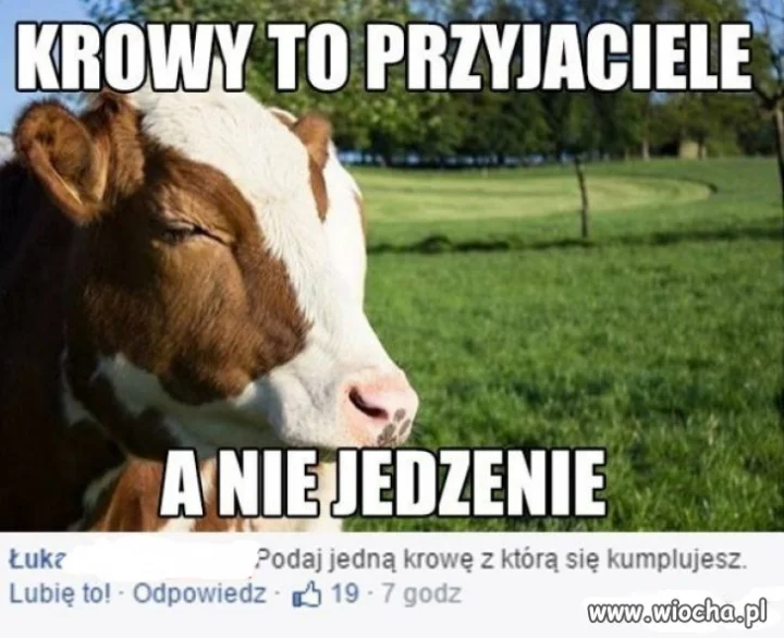 Odpowiedź