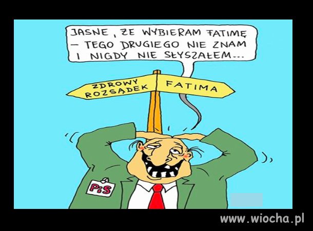 Typowy PiSowiec
