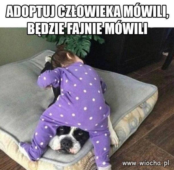 I tak to jest...