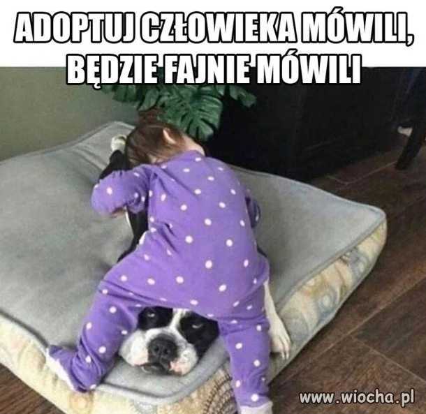 I tak to jest...