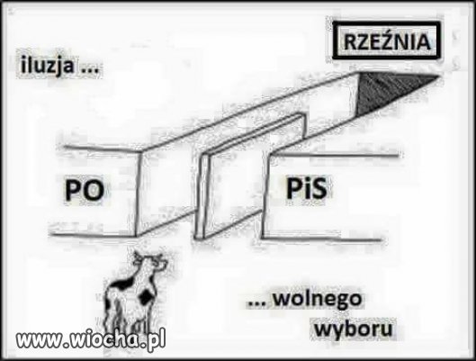 Tyle kłótni pomiędzy zwolennikami