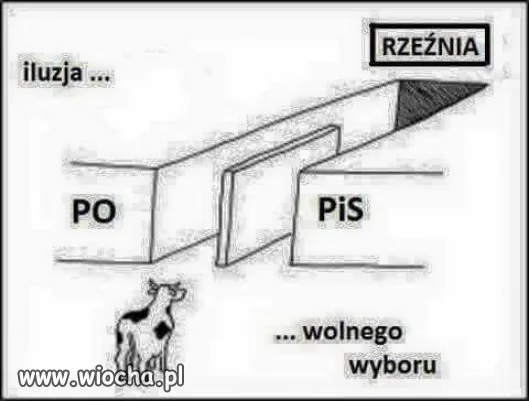 Tyle kłótni pomiędzy zwolennikami