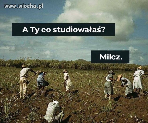 Szara rzeczywistość