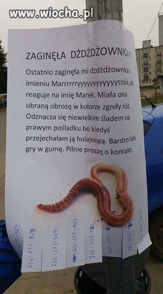 Dżdżdż... 