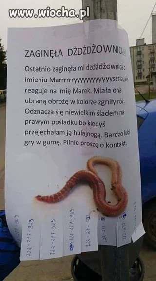 Dżdżdż... 